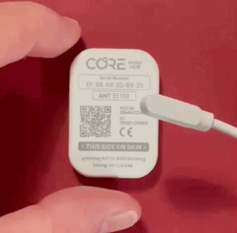 reset-CORE2.GIF
